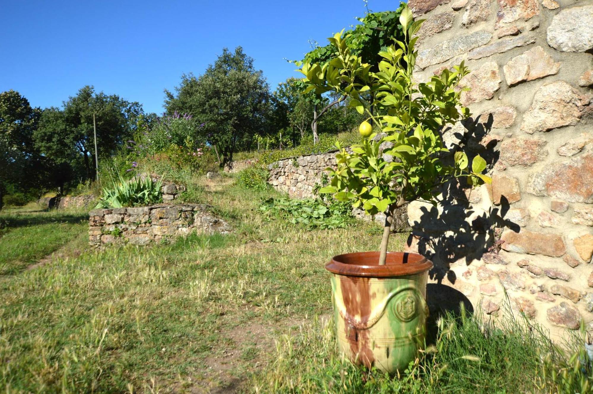 Mas Des Druilles Bed & Breakfast Generargues Bagian luar foto